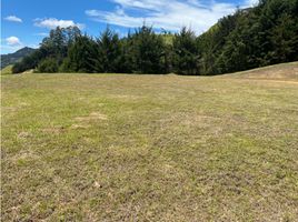  Land for sale in Rionegro, Antioquia, Rionegro