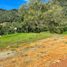  Terreno (Parcela) en venta en La Ceja, Antioquia, La Ceja, Antioquia