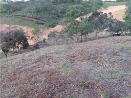  Terreno (Parcela) en venta en La Ceja, Antioquia, La Ceja