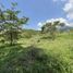  Terreno (Parcela) en venta en Titiribi, Antioquia, Titiribi