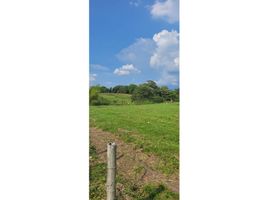  Land for sale in Pereira, Risaralda, Pereira