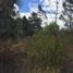  Terrain for sale in Villa De Leyva, Boyaca, Villa De Leyva