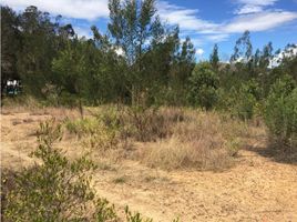  Terreno (Parcela) en venta en Villa De Leyva, Boyaca, Villa De Leyva