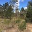  Terrain for sale in Villa De Leyva, Boyaca, Villa De Leyva