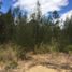  Terrain for sale in Villa De Leyva, Boyaca, Villa De Leyva