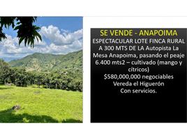  Land for sale in La Mesa, Cundinamarca, La Mesa