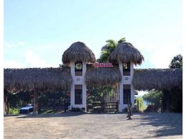 3 Habitación Casa en alquiler en Quimbaya, Quindio, Quimbaya