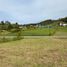  Land for sale in Marinilla, Antioquia, Marinilla