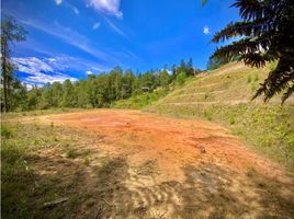  Terreno (Parcela) en venta en Retiro, Antioquia, Retiro