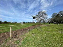  Land for sale in Rionegro, Antioquia, Rionegro