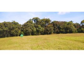 Terrain à vendre à Rionegro, Antioquia, Rionegro