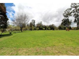  Terreno (Parcela) en venta en Cajica, Cundinamarca, Cajica