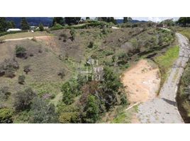  Land for sale in Guarne, Antioquia, Guarne