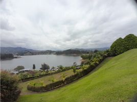  Grundstück zu verkaufen in Penol, Antioquia, Penol