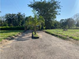  Land for sale in Tolima, Honda, Tolima