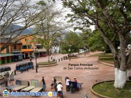  Terrain for sale in San Carlos, Antioquia, San Carlos