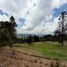  Land for sale in Envigado, Antioquia, Envigado