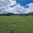  Land for sale in La Ceja, Antioquia, La Ceja, Antioquia