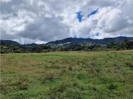  Land for sale in La Ceja, Antioquia, La Ceja, Antioquia