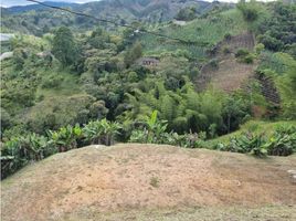  Terreno (Parcela) en venta en Penol, Antioquia, Penol