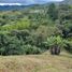  Land for sale in Penol, Antioquia, Penol