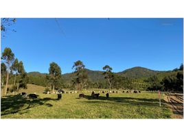  Terreno (Parcela) en venta en La Ceja, Antioquia, La Ceja