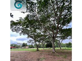  Terreno (Parcela) en venta en Córdoba, Monteria, Córdoba