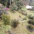 3 Schlafzimmer Haus zu verkaufen in La Ceja, Antioquia, La Ceja