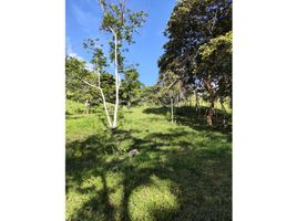  Terreno (Parcela) en venta en La Cumbre, Valle Del Cauca, La Cumbre