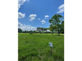  Land for sale in Bolivar, Cartagena, Bolivar