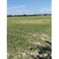  Land for sale in Flandes, Tolima, Flandes
