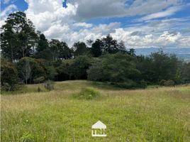  Terreno (Parcela) en venta en La Ceja, Antioquia, La Ceja