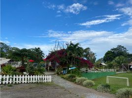 14 Habitación Casa en venta en Colombia, Ibague, Tolima, Colombia