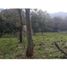  Land for sale in Girardota, Antioquia, Girardota