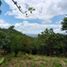 Terrain à vendre à La Mesa, Cundinamarca, La Mesa