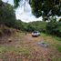 Terrain à vendre à La Mesa, Cundinamarca, La Mesa