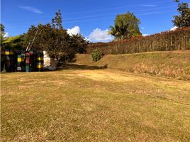  Land for sale in San Vicente, Antioquia, San Vicente