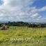  Land for sale in Popayan, Cauca, Popayan