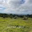  Land for sale in Popayan, Cauca, Popayan