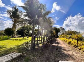 5 Schlafzimmer Villa zu verkaufen in Marinilla, Antioquia, Marinilla