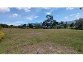  Terreno (Parcela) en venta en La Ceja, Antioquia, La Ceja