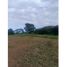  Land for sale in Panama Oeste, San Carlos, San Carlos, Panama Oeste