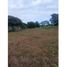  Land for sale in El Palmar Beach, San Carlos, San Carlos