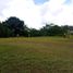  Land for sale in San Carlos, Panama Oeste, San Carlos, San Carlos