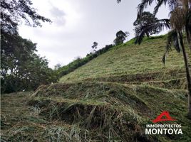  Land for sale in Pereira, Risaralda, Pereira