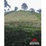  Land for sale in Pereira, Risaralda, Pereira