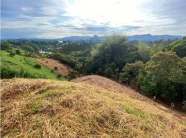  Terreno (Parcela) en venta en Penol, Antioquia, Penol