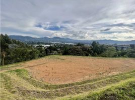  Land for sale in Rionegro, Antioquia, Rionegro