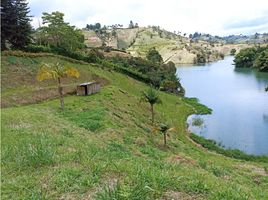  Terreno (Parcela) en venta en Penol, Antioquia, Penol