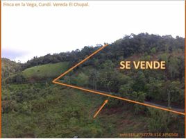  Terreno (Parcela) en venta en La Vega, Cundinamarca, La Vega